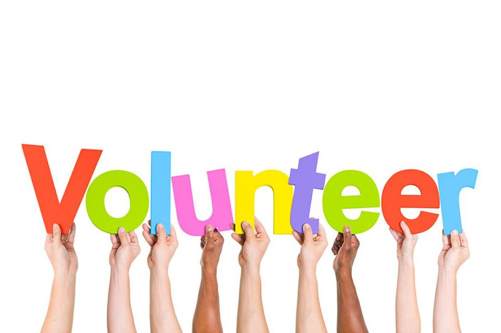Volunteer