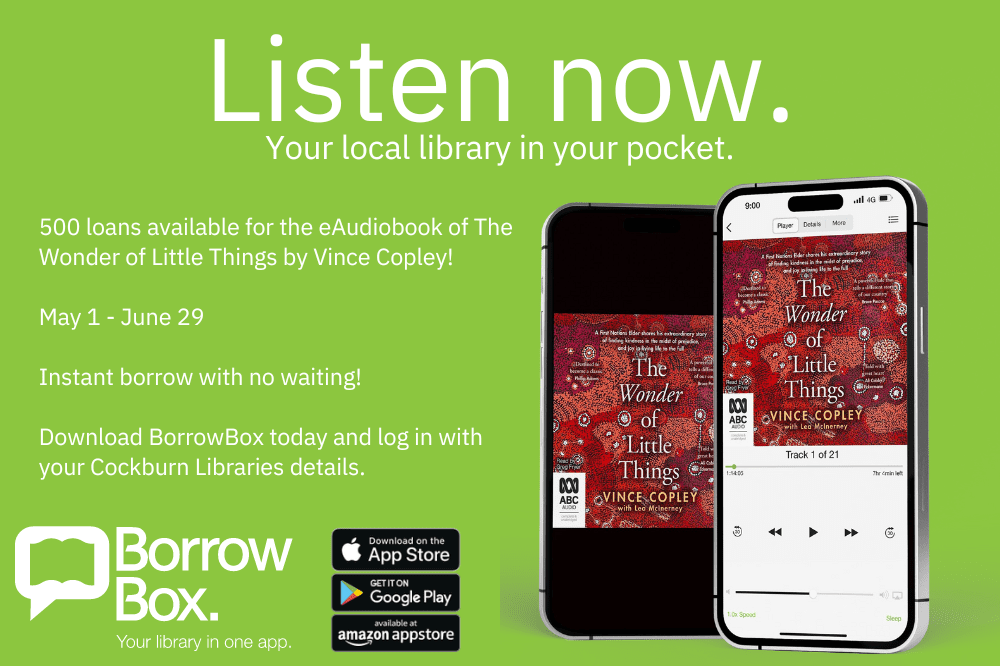 Listen to Wonder of Little Things Borrowbox (1)