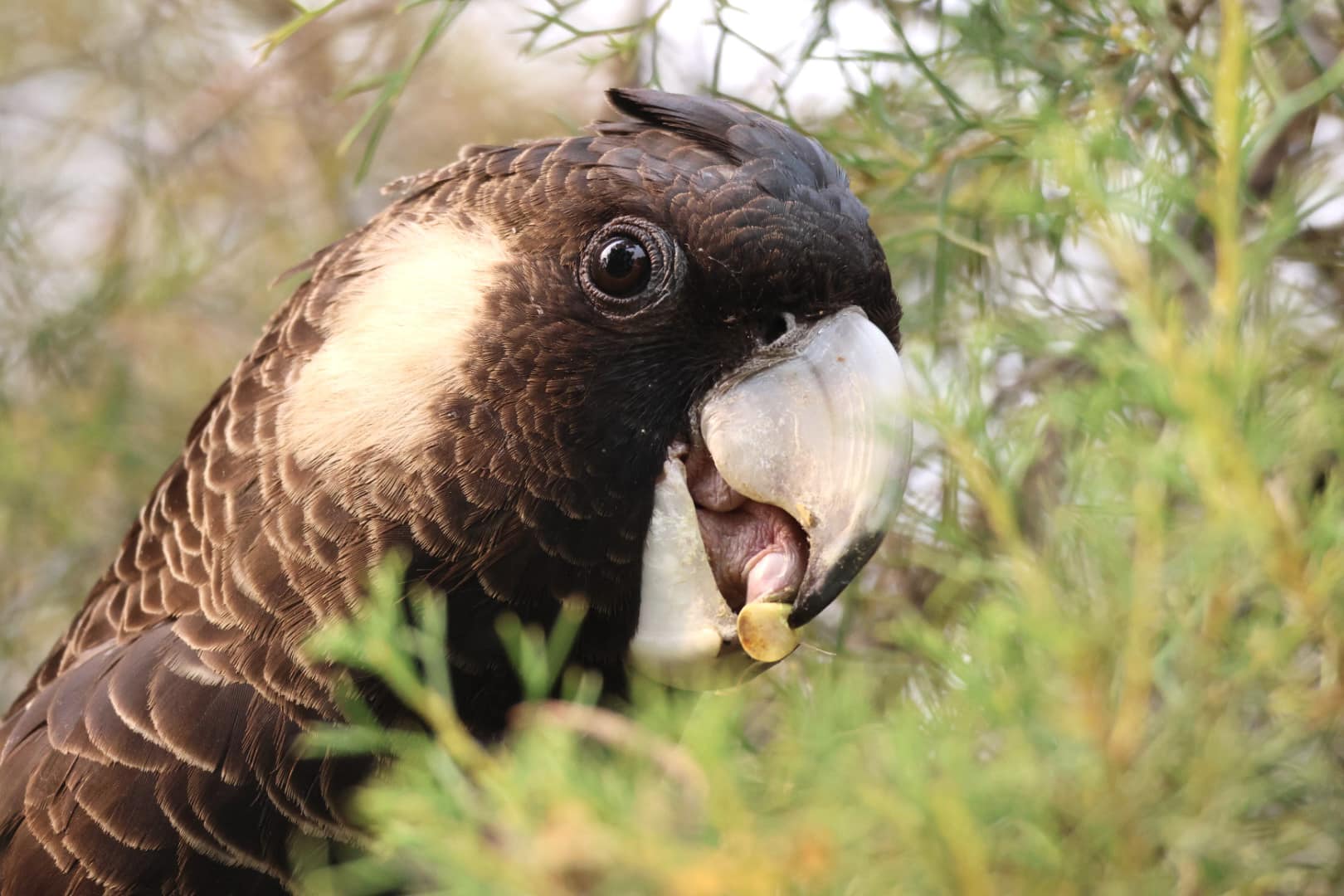 471599574_122131278446507073_293337968775160546_n