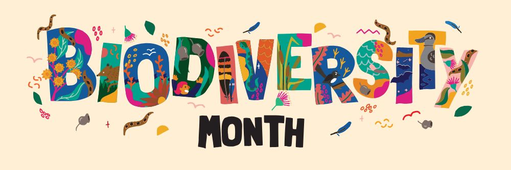 Biodiversity Month 1000x334